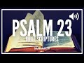 Psalm 23 | The Lord Is My Shepherd | Anointed Audio Bible Reading