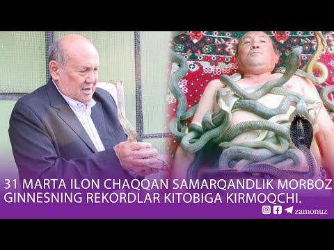 Video: Dudlangan Ilonni Qanday Tayyorlash Mumkin