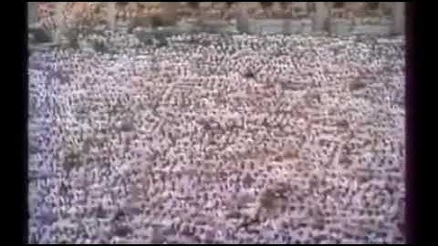 ۞ سورة الانسان (1 - 15) بصوت الشيخ د علي جابر (رحمه الله) المقطع من صلاة الفجر 1402هـ