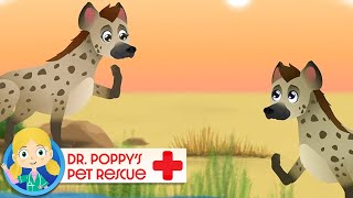 Issa the Hyena 🐕 | Doctor Poppy - Animals For Kids | Cartoon Animals