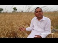 Kohlu Ka Tail | Mustard Oil Mill | Primitive Technology | Mubashir Saddique | Village Food Secrets