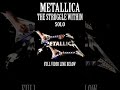 Metallica - The Struggle Within #shorts #metallica #guitar