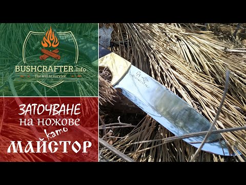 Видео: Бруст: техника и препоръки