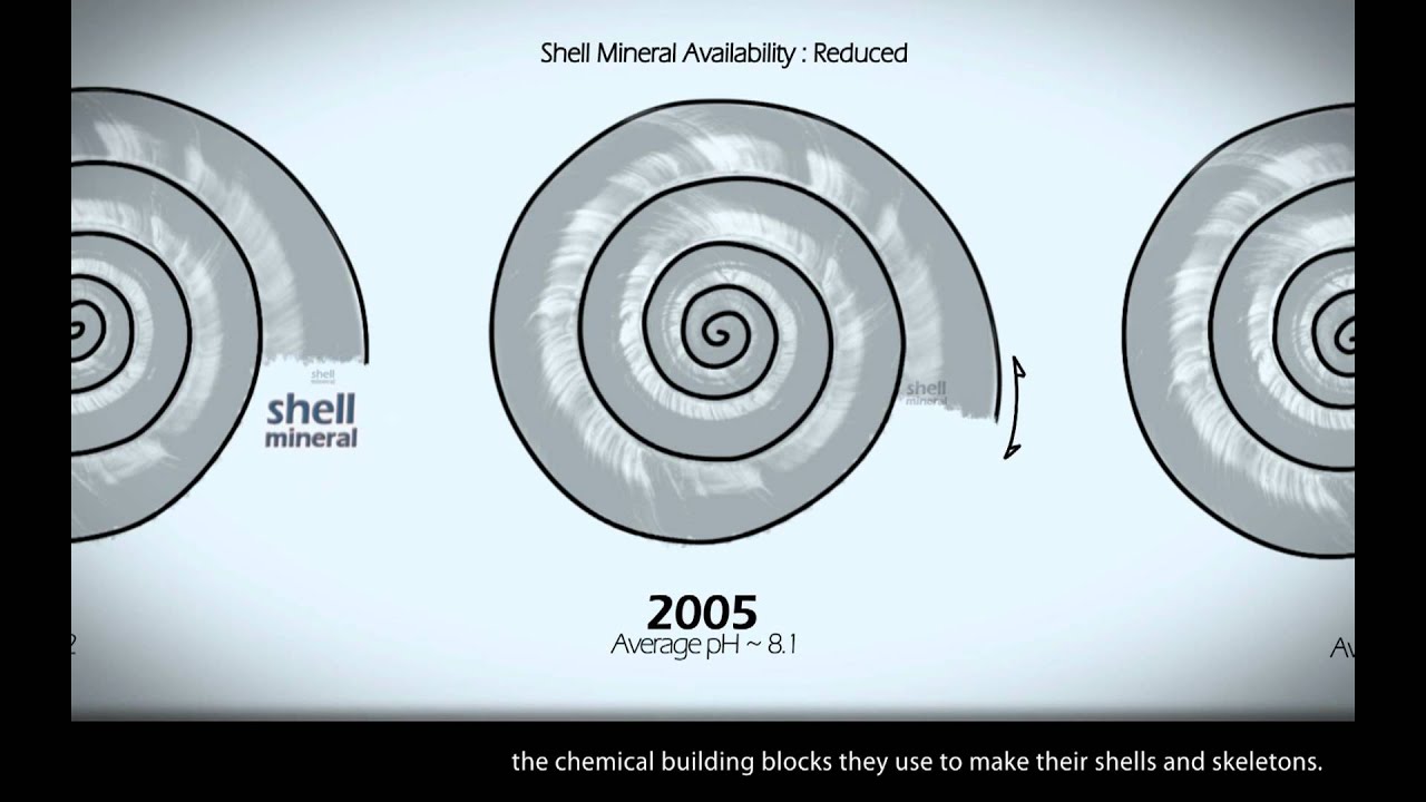 The Other Carbon Dioxide Problem