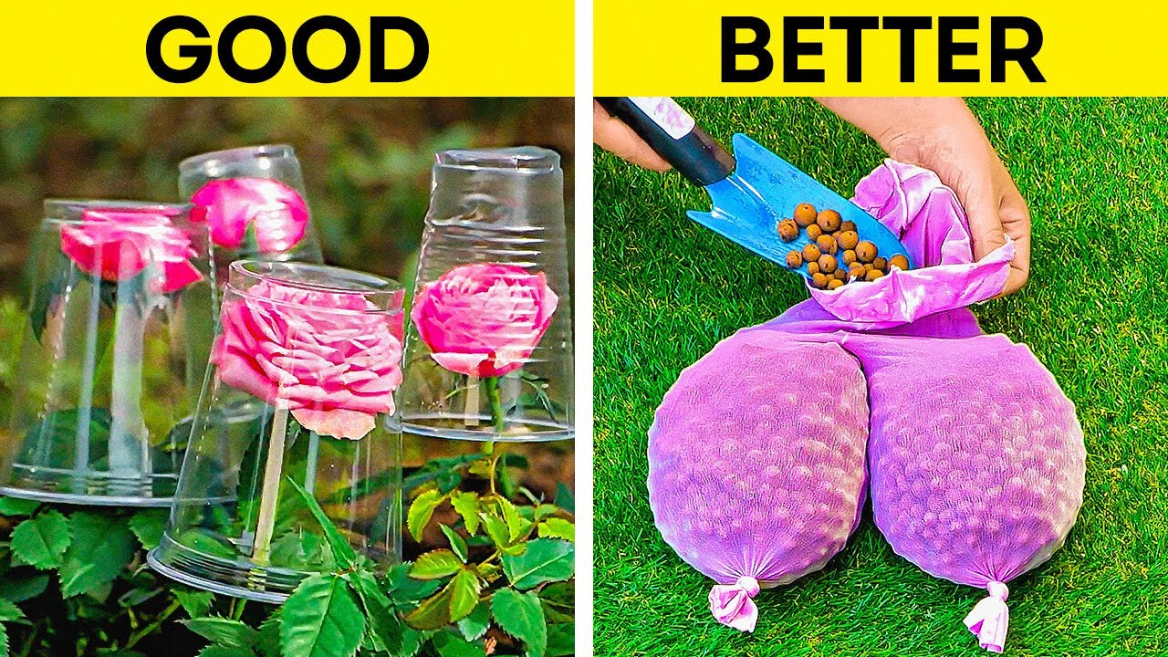 20+ Brilliant Garden and Plant Hacks for Blooming Success