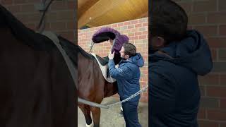 Vom Reitanfänger zum Turnierreiter Teil 4 #horseboy #reiter #pferde #pferdeliebe