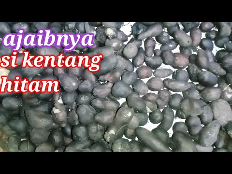 Kebaikan alam yg diberikan Tuhan jika kita tau tentu sangat berguna dan bermanfaat.. 