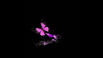 كروما فراشه 