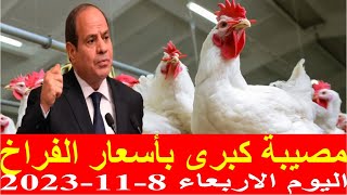 أسعار الفراخ اليوم | سعر الفراخ البيضاء اليوم الاربعاء 8-11-2023 جمله وقطاعي