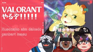 【VALORANT】VCTでテンションが上がったぬいぐるみによるVALORANT配信【Vtuber】