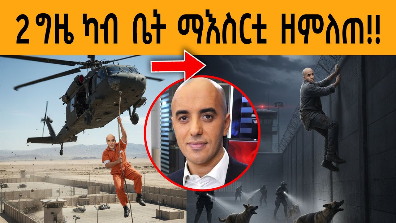 ዓለም ዘሰከሐ ብተደጋጋሚ ካብ ቤት ማእሰርቲ ዘምለጠ ገበነኛ  | KB react