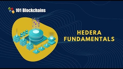 Hedera Fundamentals - 101 Blockchains
