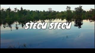 Faris Adam - STECU STECU (Remix Sape'Dayak) By Ishak Kurniawan