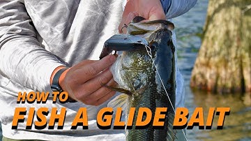 How to Fish a Glide Bait w/ Patrick Walters