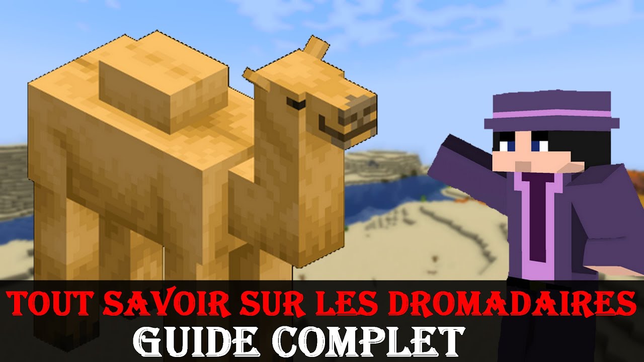 Tout savoir sur les dromadaires de Minecraft [Guide complet] 🐪 - YouTube