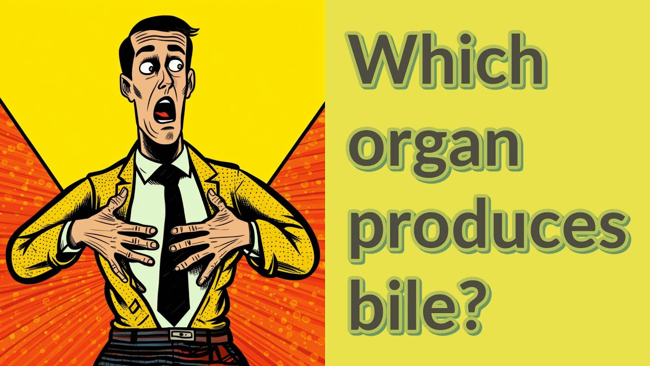 Which organ produces bile? YouTube