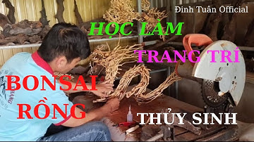 Làm Lũa rồng Phi long - Dragon - Best bonsai driftwood for aquarium by Đinh Tuân