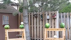 Airsoft fruit ninja