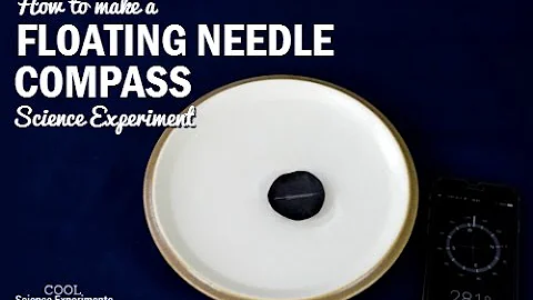 How to make a Floating Needle Compass Science Experiment