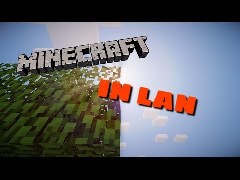 Video: Come Giocare A Minecraft Su Una Rete Locale