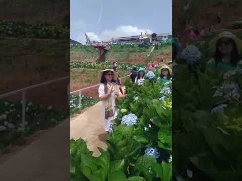 Clip du lịch Đà Lạt (2019) 1