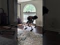 L sit to Tuck Planche