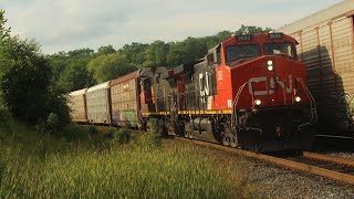 CN E271 - 2682W at Ash! Rare CN X356! Four CN Trains - July 04, 2026