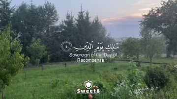 سورة الفاتحة (كاملة) بصوت القارئ طارق محمد🤎🌼