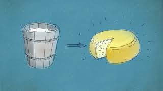 History of Cheese in Ireland | MOOCREW