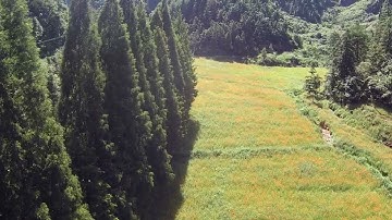 firefly x lite FPV CAM with racing drone