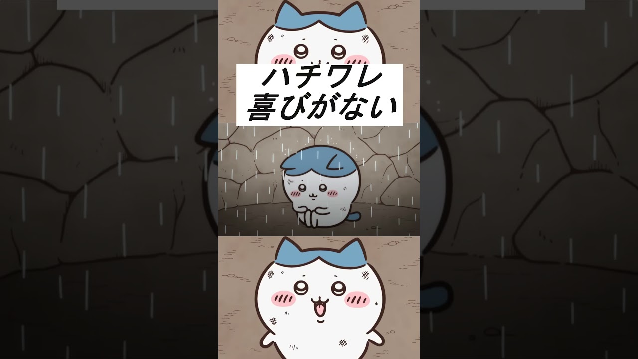 Chiikawa Anime] Hachiware 