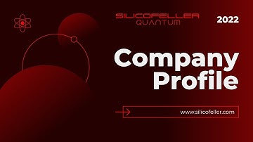 Silicofeller Quantum - Company Profile