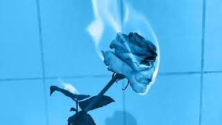 Lana Del Rey - Blue Jeans ( Türkçe çeviri )