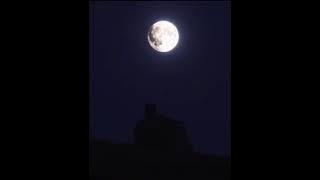 Pashto old classic song daghasi gora best voice of the world