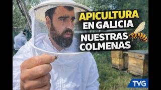 De Liñares Apicultura | Así producimos nuestra miel natural en Galicia