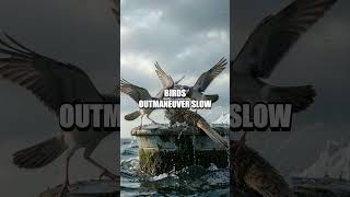 Simulated Survival: Evolution Under Pressure