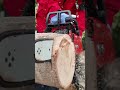 tornadochainsaw#viralvideo #woodworking #dexo #decoration #tools #shorts
