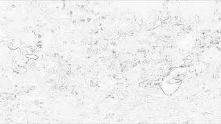 Nobuhiro Okahashi/in white/MV