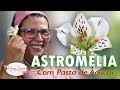 Como Fazer Astromélia em Pasta de Açúcar