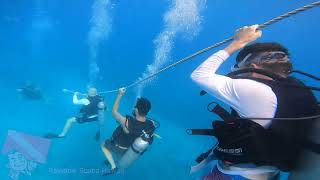Try SCUBA In Honolulu - Vlog 704