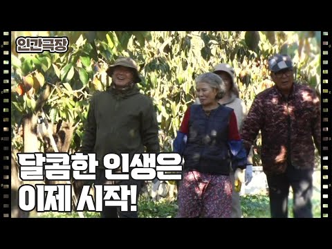 [<strong>종현</strong> 씨 감나무에 봉이 열렸네] (15/15) [인간극장/Screening Humanity] | KBS 241220 방송