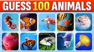 Can You Guess 100 Sea Animals in 5 Seconds?