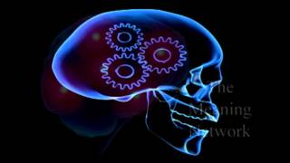 Cracking The Learning Code - Advanced Learning Institute