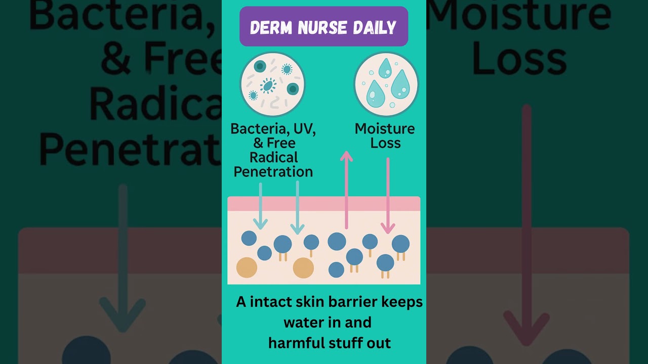 DERM NURSE DAILY Skin Education 
