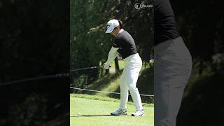 The hips start rotating before reaching the top of the backswing. - Ruoning Yin The hips start rotating before reaching the top of the backswing. - Ruoning Yin