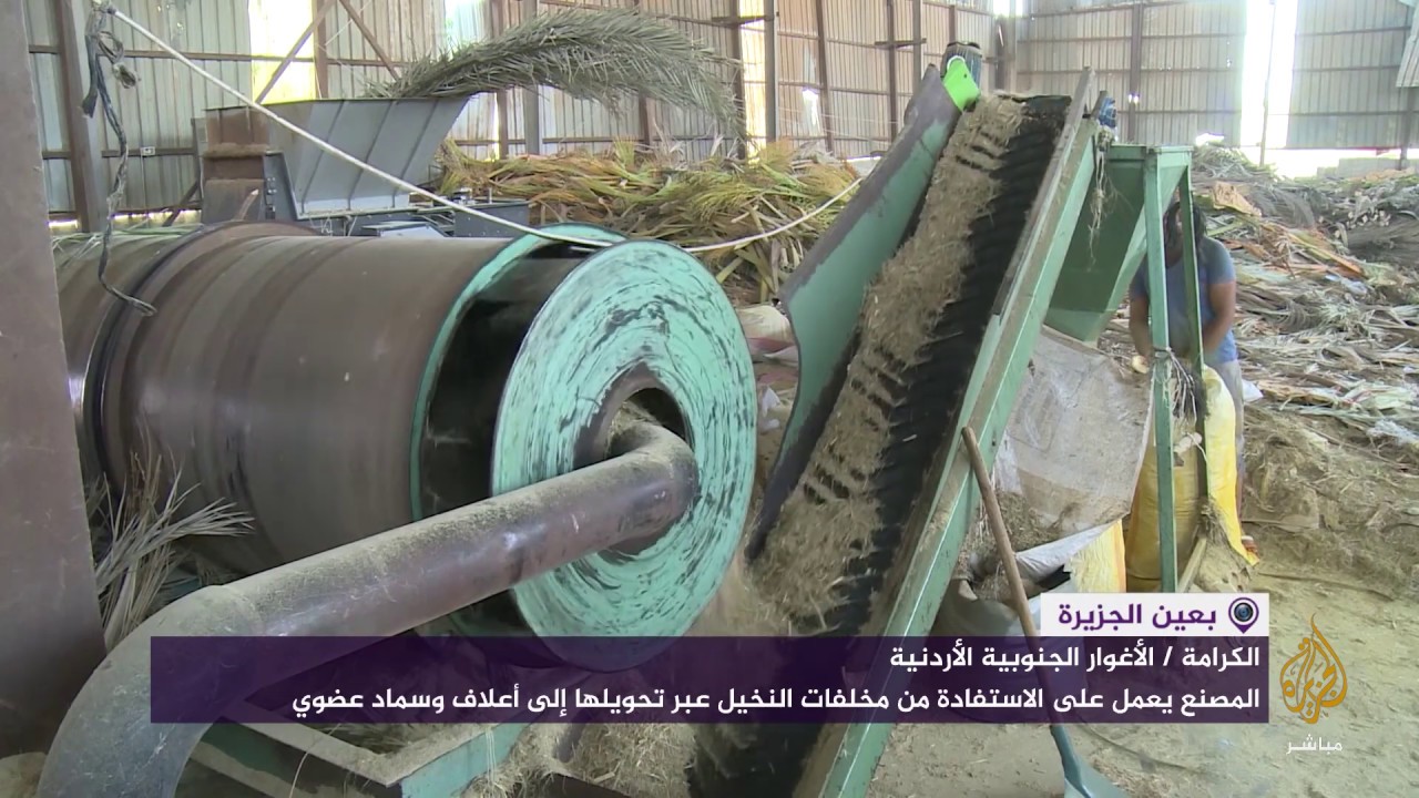 في الأردن.. مصنع لتدوير مخلفات النخيل