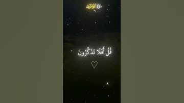 اذكر اللهقدر تعبي بأكسبلور، #قرآن_كريم #قران #ياسر_الدوسري  #القران_الكريم #تلاوة_خاشعة #تلاوة #قرآن