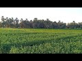 عبدالقيوم الشريف مسحه حزن