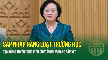 "Chính thức: Sáp nhập hàng loạt trường học, tạm dừng tuyển dụng viên chức ở đơn vị đang sắp xếp