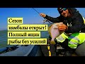 Сезон камбалы открыт! Ящик рыбы без усилий